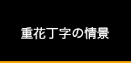 重花丁字の情景